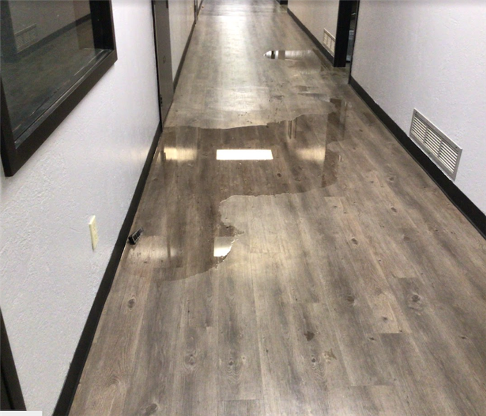 Water Damaged Walls in a Commercial Building
