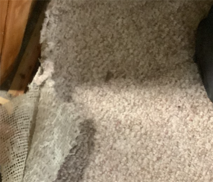 Carpet Replacement after a Water Damage