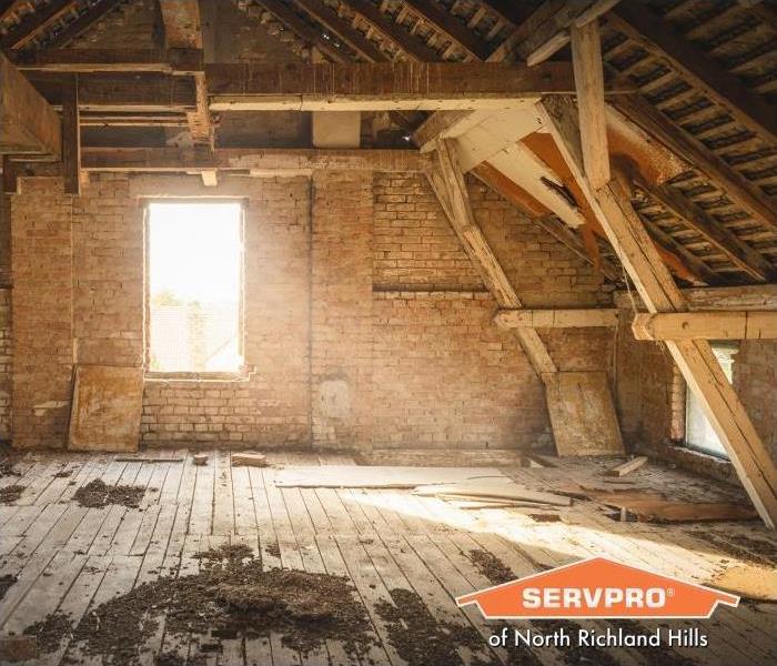 how to get rid of attic mold